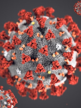 Coronovirus